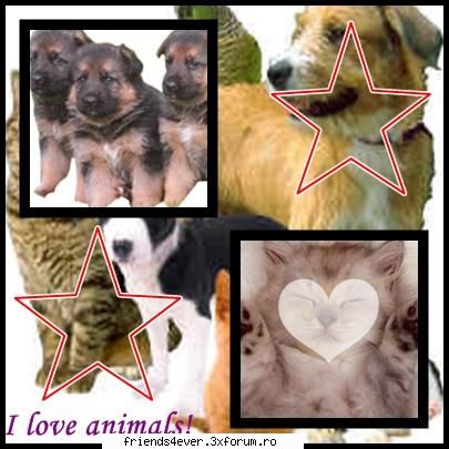 By Ana - crazy_angel - Creatii.`Concursuri.`